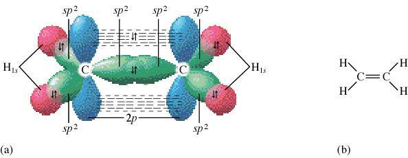 axis. NEVER occur without a sigma bond first!! may form only if unhybridized p orbitals remain on the bonded atoms!