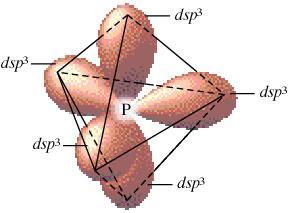 The carbon has 2 sites of electron density, each occupied by a double bond, and is therefore sp [2