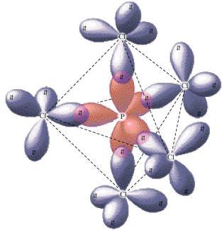 The oxygen s have sp 2 hybridization [3 sites, 3 letters].