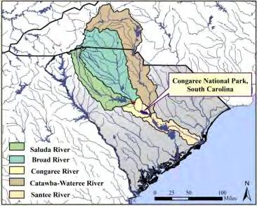 Congaree River Watershed The Congaree and Wateree Rivers merge at the park s downstream boundary to form the Santee River The Congaree River is formed by the confluence of the Broad and Saluda