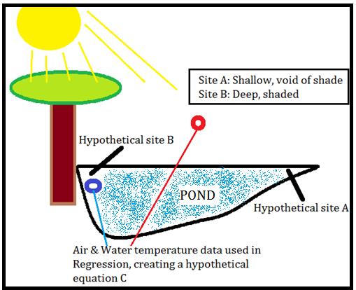 Methods With the presumption that surface water temperature may be dependent on shade and depth, the heterogeneous spatial distribution of these two variables along the pond presented an issue.