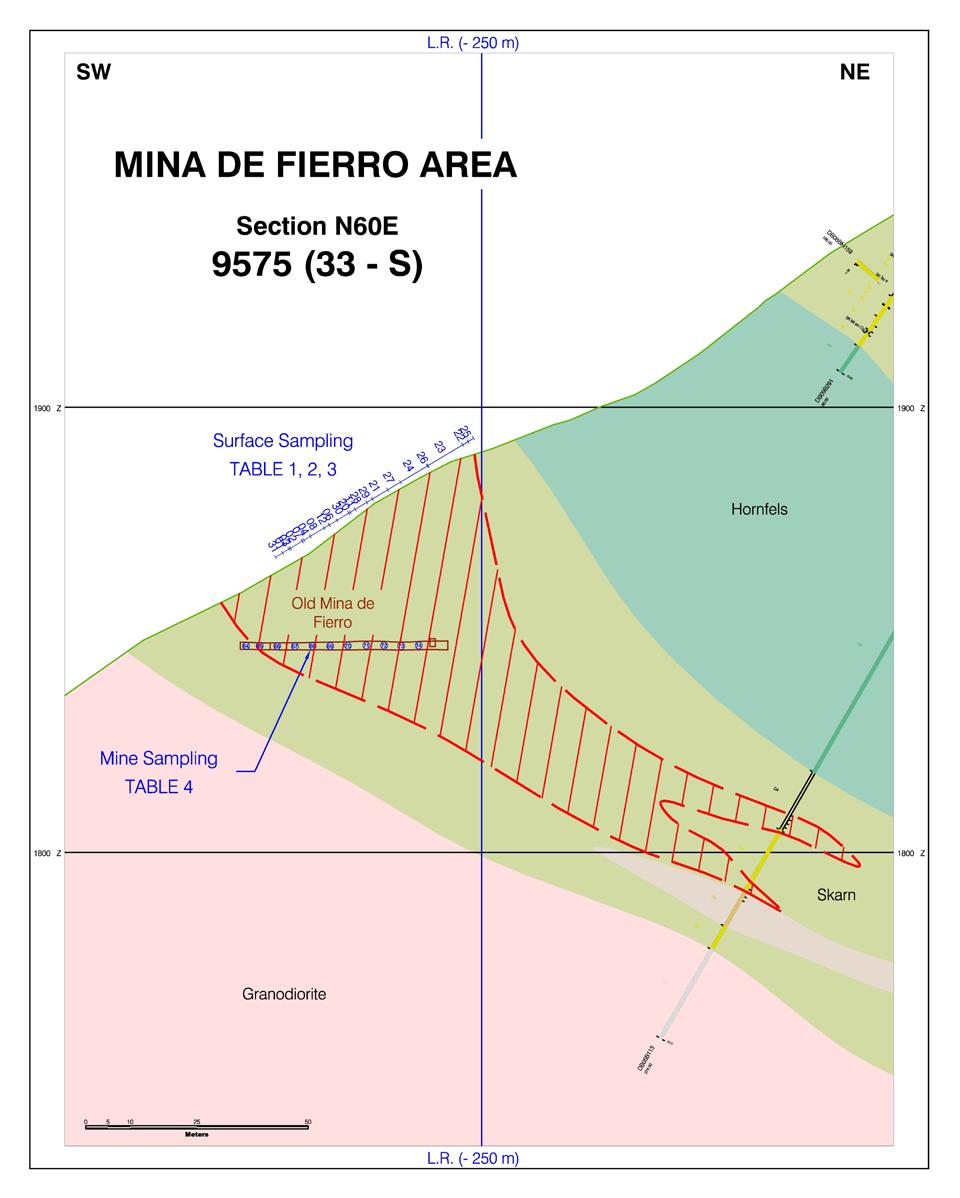 Section along N60E Showing Sample Sites on