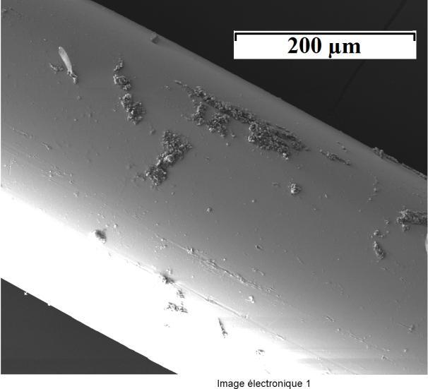 a b Figure 69: SEM images of the surface of As 2 S 3 rectangular fibers: (a) preserved in dry atmosphere; (b) conserved 7 days in ambient laboratory atmosphere at 25 C and 65% RH.