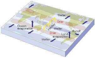 Whether land becomes drier or wetter depends partly on precipitation changes, but also on changes in surface evaporation and transpiration from plants (together called evapotranspiration).