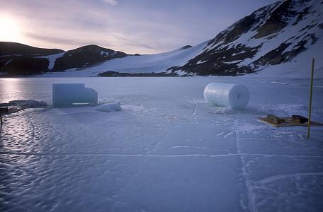 Antarctic Ice Cores Nitrates found corresponding to SN 1006