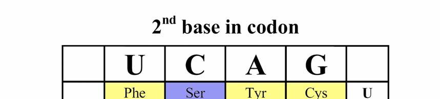 different codons. Only tryptophan and the methionine start codon are encoded by single codons (see color coding in Figure 4) Figure 4. The genetic code.