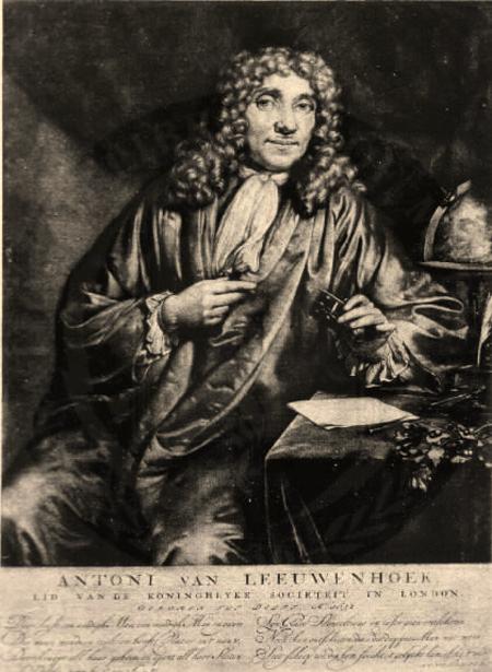 Anton van Leeuwenhoek (1632 1723) Image courtesy of the National Library of Medicine. The cork cells that Robert Hooke studied were no longer alive.