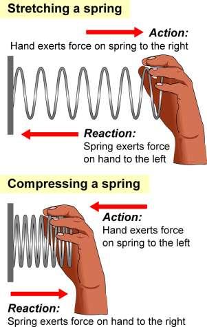 Springs Springs have a variety of uses: keeping objects in equilibrium, storing