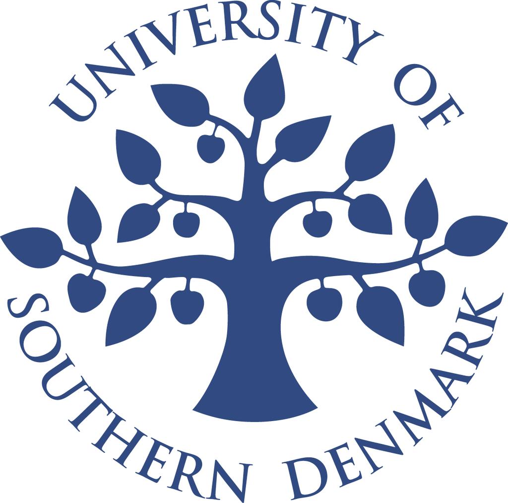 University of Southern Denmark Mads Clausen Institute Exact Envelope Function