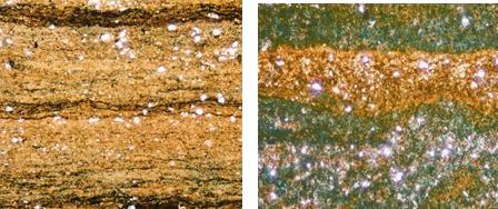 As these rock types are diagenetically altered and generally have an indurated, fine grained appearance the textural term porcellanite (Boggs, 1995) has been adopted.