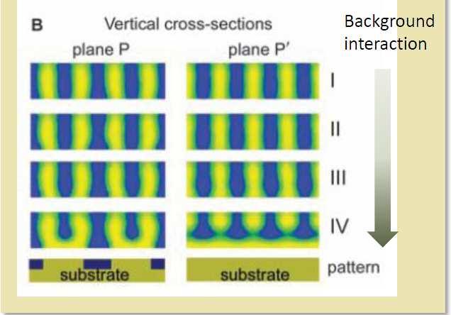 DSA Technical Study Topic Detailed metrology of microdomains profiles can vary depending on state of surfaces, guide pattern Not readily detected by plan-view SEM or AFM analysis Can influence