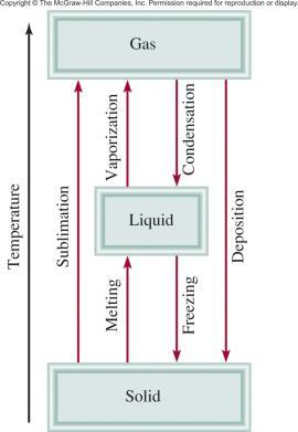 and liquid phases coexist in