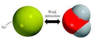 Interaction Between Water and Cations