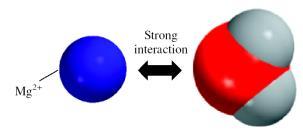 Intermolecular Forces Attractive