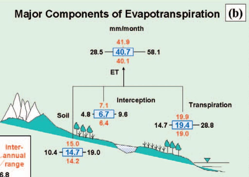 Partitioning of evapotranspiration E = soil evaporation +