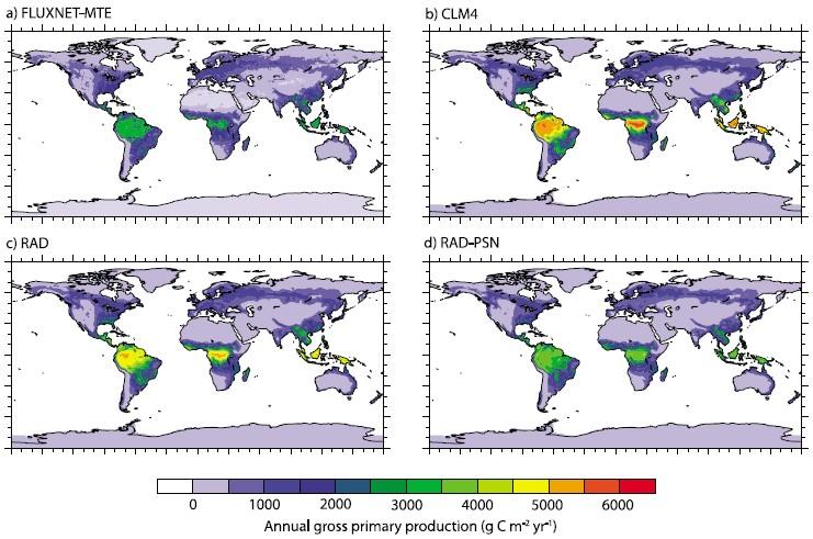 Overestimation of GPP in the tropics
