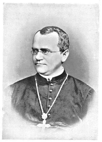 A. Describe what Gregor Mendel discovered in his experiments about genetics.