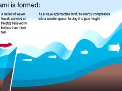[10] A tsunami is formed by rapid movement of the ocean floor, often caused by an earthquake.