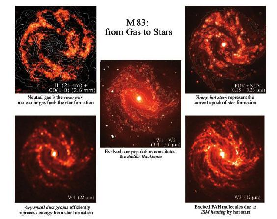 Spiral galaxies are panchromatic objects different physical process are best shown in different wavebands