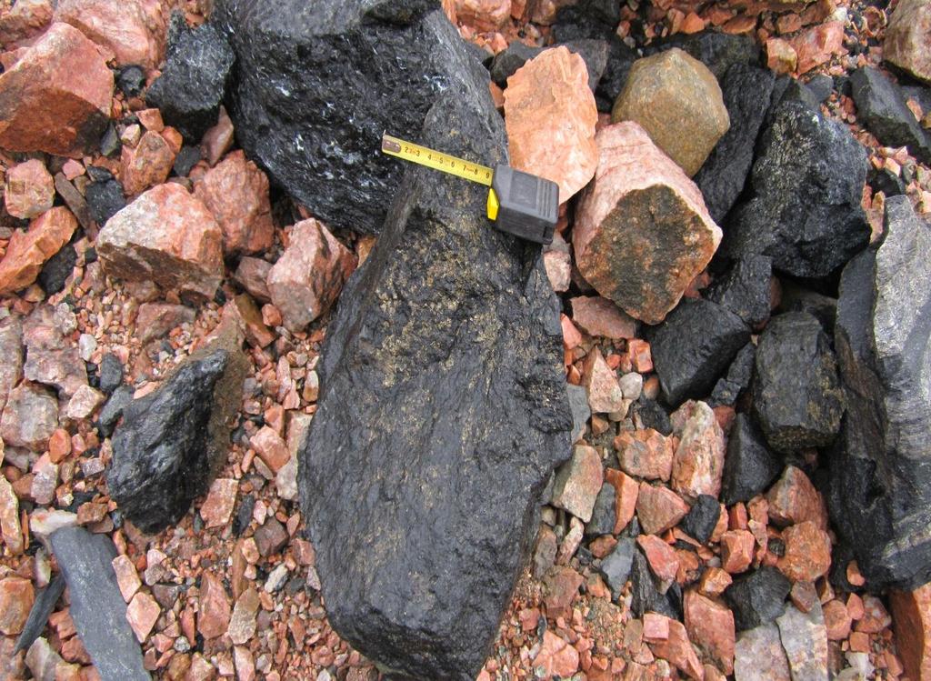 With measuring tape as scale, here is a cluster of mineralized gneissic chalcopyrite boulders within the westernmost pit. It is common to see this much mineralization in boulders in the area.
