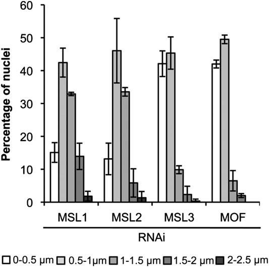Grimaud and Becker Figure 5. The male-specific X-chromosome conformation depends on MSL1 and MSL2.