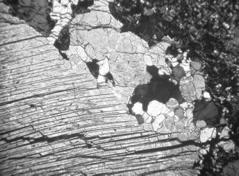 porphyroclast, Cpx-p) in peridotite mylonite (My, finegrained polyphase mylonite matrix of olivine þ