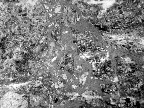MONTANINI et al. NORTHERN APENNINE OPHIOLITES, ITALY Peridotites The peridotites are clinopyroxene-rich (10 15 vol. %) spinel plagioclase lherzolites with accessory brown amphibole.