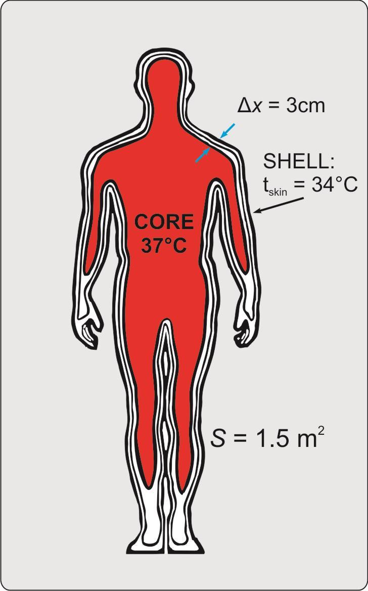 Assume that the thickness of the tissue between the interior of the body is 3 cm and that the average area through the which conduction can occur is 1.5 m 2.