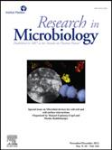 October 2012 Available online 26 October 2012 Abstract We review physically-motivated studies of bacterial near-surface motility driven by flagella and type IV pili (TfP) in the context of biofilm