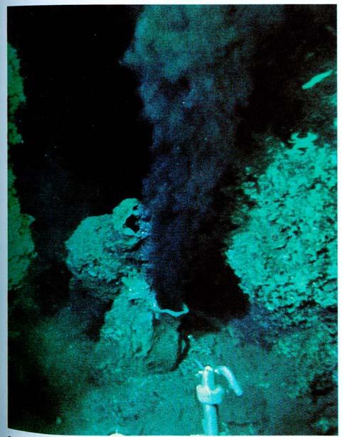 A hydrothermal discharge area located under the ocean. Taken from The Blue Planet by Brian J.
