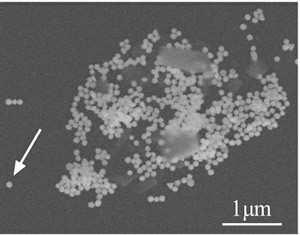 A 3-dimensional nanostructure grown by controlled nucleation