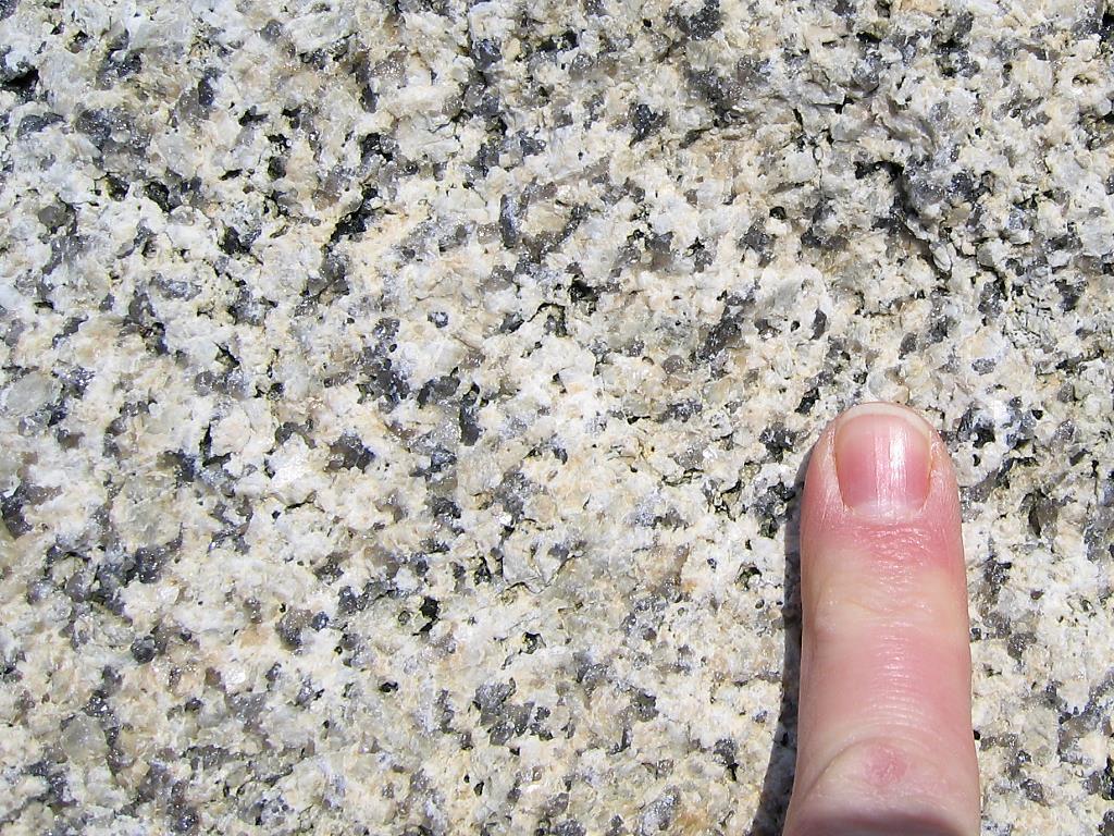 Color: Light-gray. Texture: Equigranular, isotropic. Grain size: Medium-grained. Visible minerals: Hornblende, biotite, white feldspar, and quartz. Rock type: Hornblende-biotite granite.