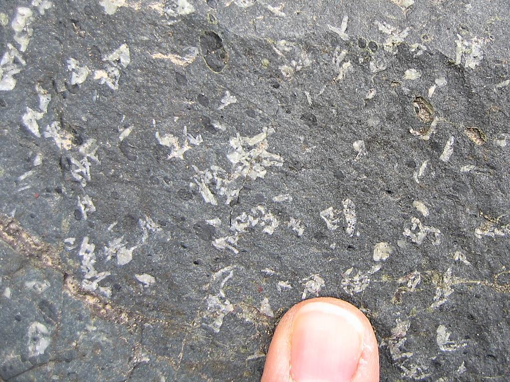 Color: Medium-gray. Texture: Porphyritic. Grain size: Phenocrysts up to 5 mm long in a microcrystalline matrix, with sparse elliptical dark-gray spots (probably amygdules) up to 6 mm across.