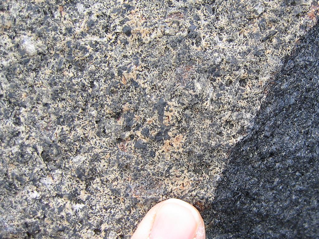 Color: Black, dark-gray and somewhat rustyweathering. Texture: Inequigranular. Grain size: Fine-grained matrix with sparse black phenocrysts up to 1 cm long.