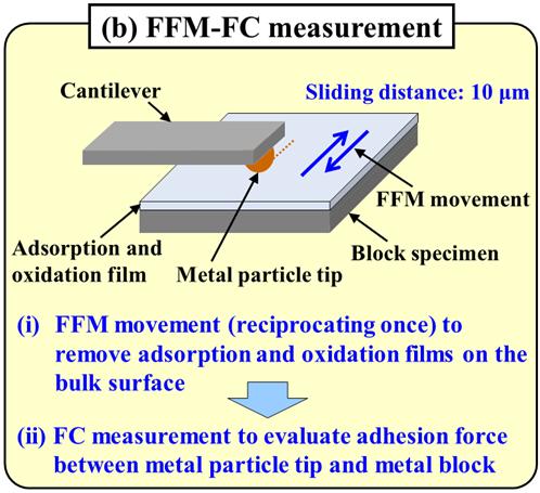 After the friction and wear experiments, the block specimen was thoroughly washed with acetone, and the surface of the wear track on the block specimen was visualized in the AFM mode of SPM