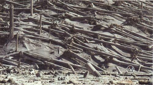 May 18, 1980 Hot ash melted snow to produce enormous (d) lahar