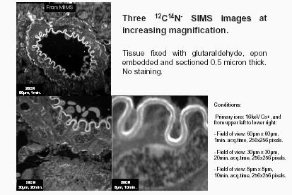 NanoSIMS 50L: an application SIMS images of the