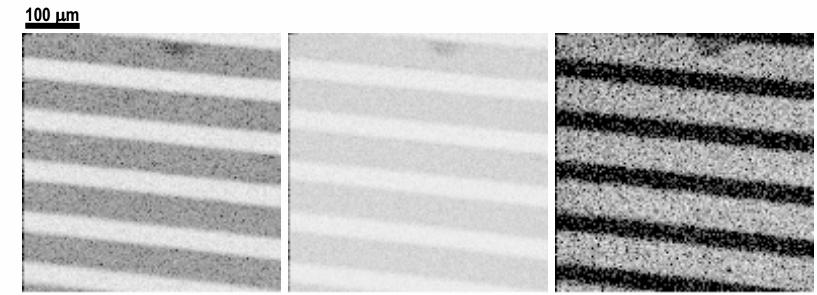 Applications of Imaging ToF-SIMS: micropatterned surfaces Ion imaging of micropatterned CH 3 - and COOH-terminated thiols on a gold surface (stripes width: 40 and 60 m, respectively):