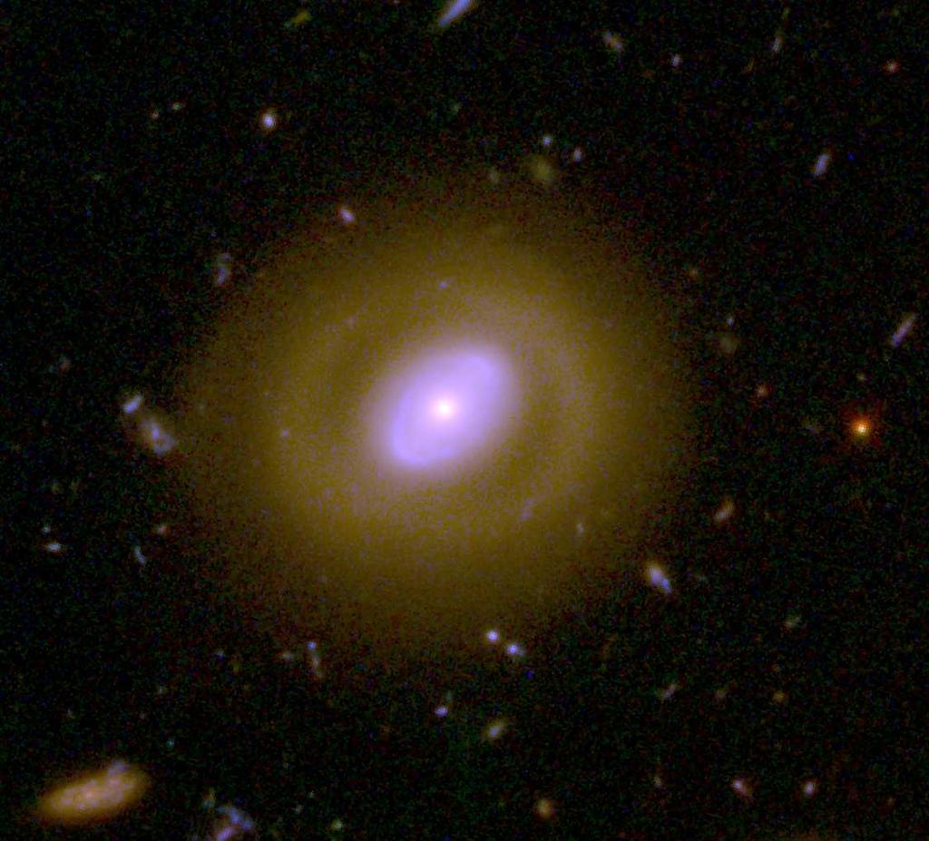 early-type galaxies