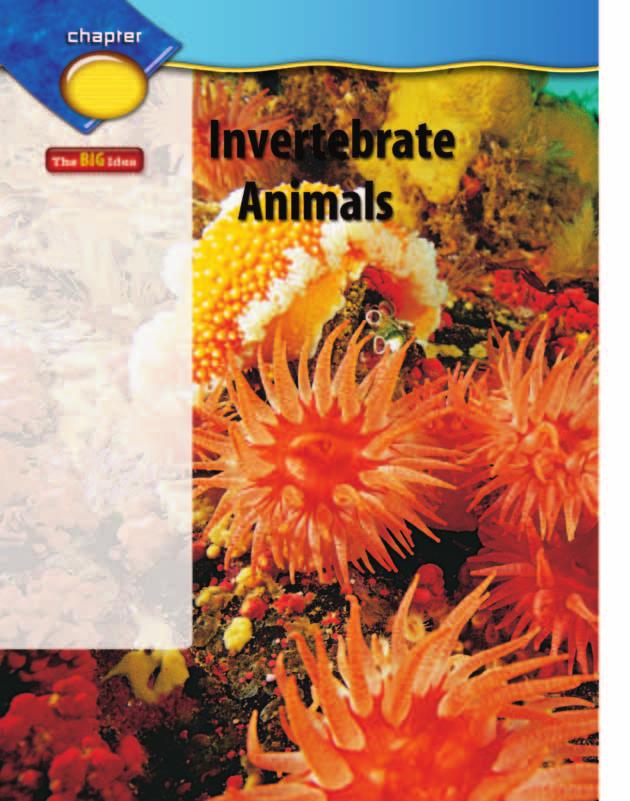 Invertebrates are animals without backbones. SECTION 1 What is an animal? Main Idea Animals are classified into groups with similar characteristics.