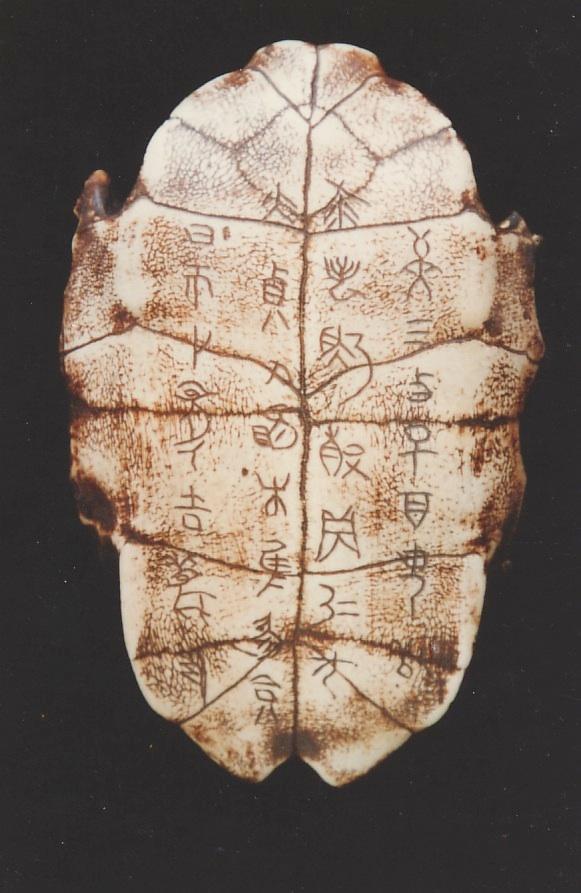 Oracle bones were typically made up of turtle shells or the bones from oxen.