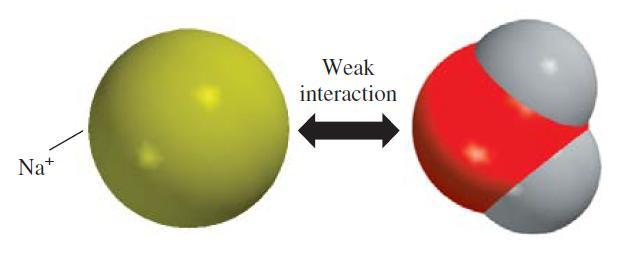 Ion-Dipole forces Are forces which attract an ion and a polar molecule