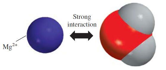 Strength of interaction depends on the charge and size of the ion and