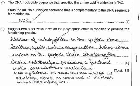 Paper 2 AS Structured Questions Example candidate response grade C Examiner comment grade C In (i), the candidate shows knowledge and understanding of base-pairing during transcription.