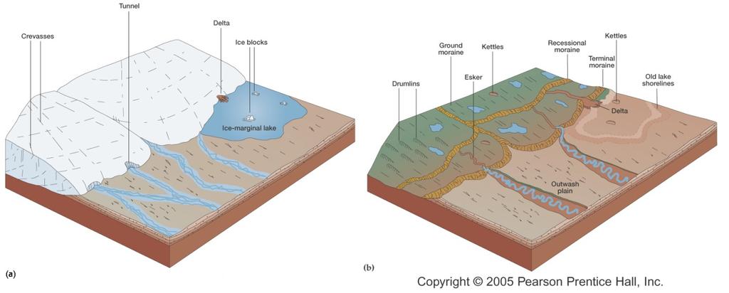 GEOL.3250 Geology for Engineers Glacial Geology NAME Part I: Continental Glaciation Continental glaciers are large ice sheets that cover substantial portions of the land area.