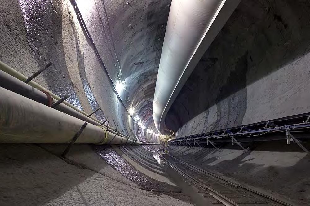 Tunnel Conveyor