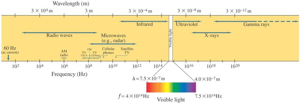 31-6 Light as an Electromagnetic Wave and the Electromagnetic Spectrum Electromagnetic waves can