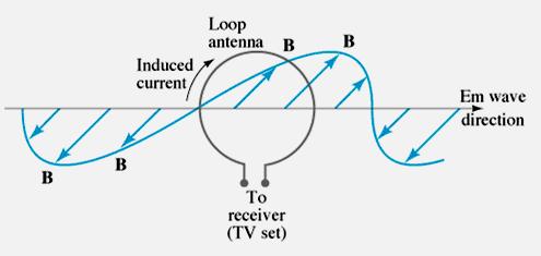 ConcepTest 31.3 Before the days of cable, televisions often had two antennae on them, one straight and one circular. Which antenna picked up the magnetic oscillations?