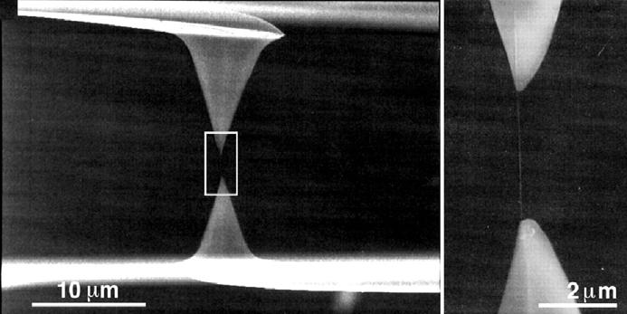 Figure 1.9 The SEM image of a MWNT attached to the AFM tips during the tensile testing [56].