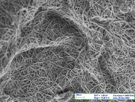 2.1 MATERIALS AND SAMPLE 2.1.1 Single-Walled Carbon Nanotubes The SWNTs used in this study were obtained from